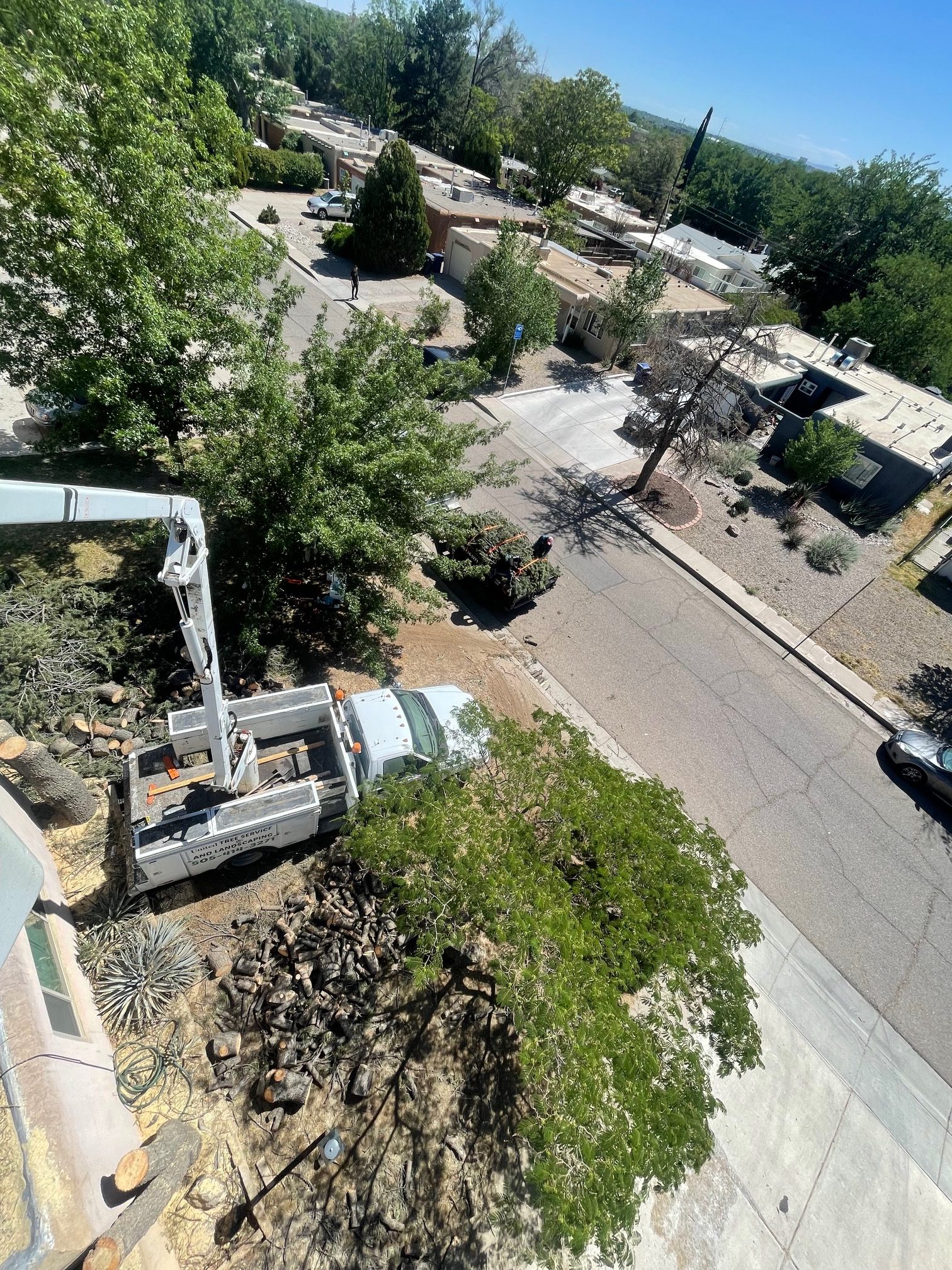 Home - United Tree Service and Landscape